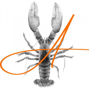 Logo Annoncé Management B.V. on Presscloud